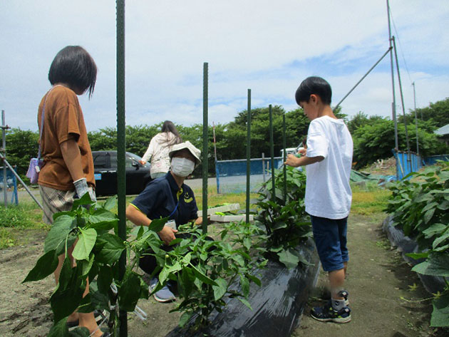 休日の活動例