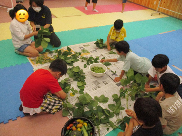 休日の活動例